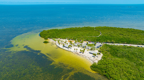 Janina NPR Portraits Aerial & Ground May 2025-36
