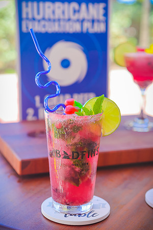 Badfins July-137