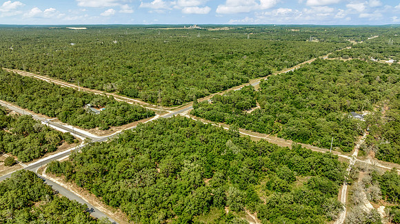Korey 13060 Hornbill Rd-16