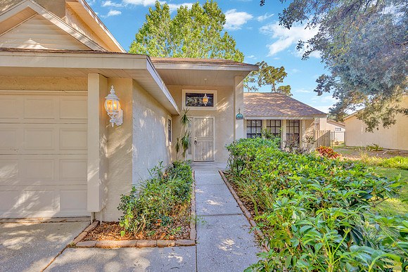 Sean Comito 10322 Turkey Oak Dr-46