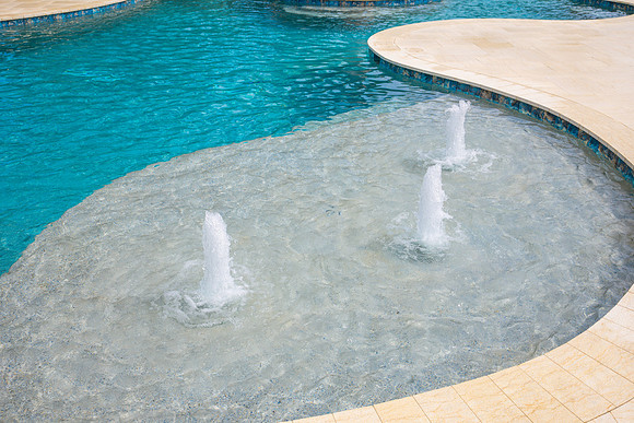 Larsen's Pool Neaves Pool & Spa Day-21