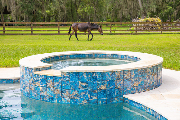 Larsen's Pool Neaves Pool & Spa Day-34