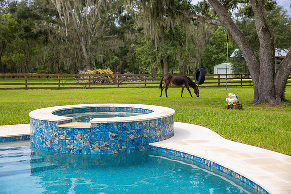 Larsen's Pool Neaves Pool & Spa Day-40