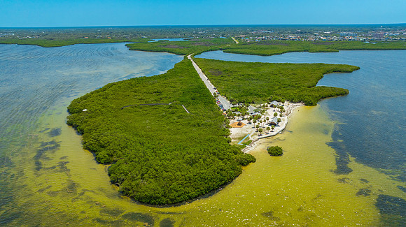 Janina NPR Portraits Aerial & Ground May 2025-33