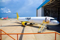 Pemco CAM Raya A321-14
