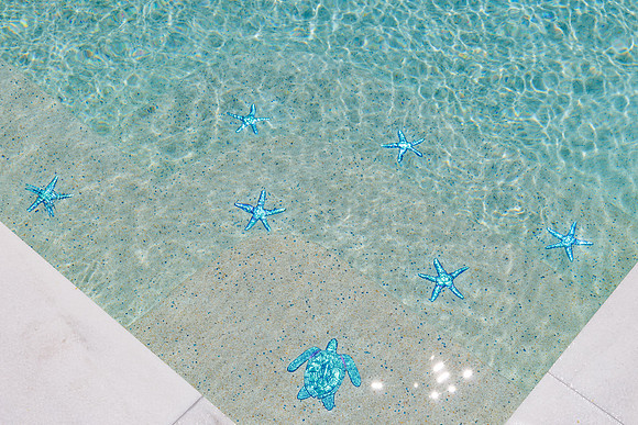 Larsen's Pool 319 Bailey St Safety Harbor-31