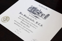Ben Stechshulte Board Certified-5