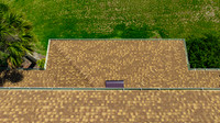 Nations 26780 Fiddlewood Loop-12