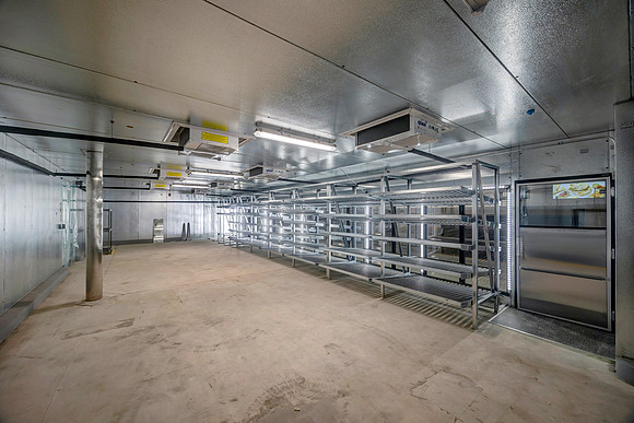 Aldi's Venice Final-8