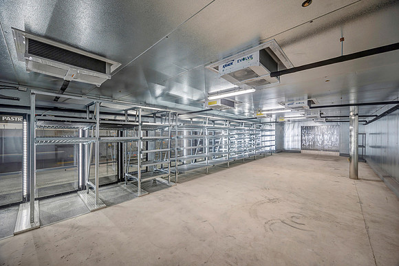 Aldi's Venice Final-10