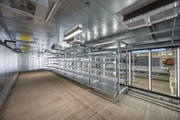 TD Farrell Aldi's #188 Venice April 2026-14