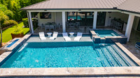 Larsen's Pool Palermo Tampa Aerial-17