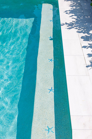 Larsen's Pool 319 Bailey St Safety Harbor-27