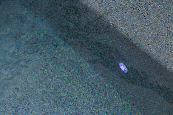 Larsen's Merz Pool Riverview Details-75