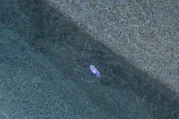 Larsen's Merz Pool Riverview Details-72