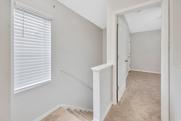 Brownlee Group 15780 Fishhawk Falls Dr.-17