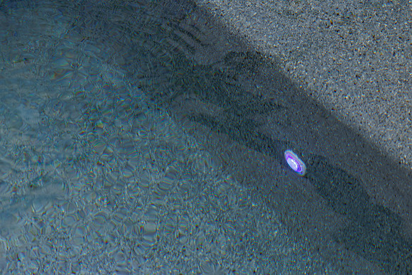 Larsen's Merz Pool Riverview Details-76