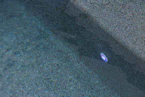 Larsen's Merz Pool Riverview Details-77