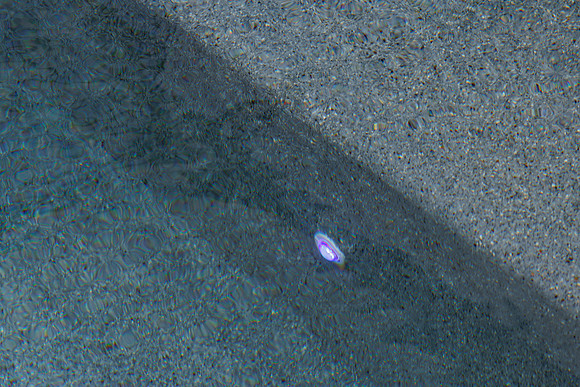 Larsen's Merz Pool Riverview Details-73