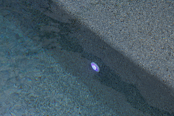 Larsen's Merz Pool Riverview Details-81
