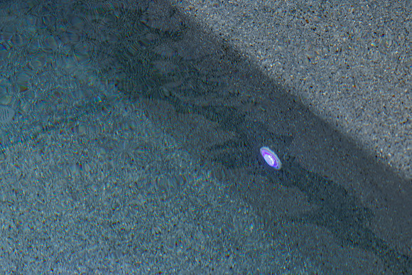 Larsen's Merz Pool Riverview Details-74
