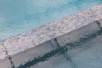 Larsen's Merz Pool Riverview Details-1
