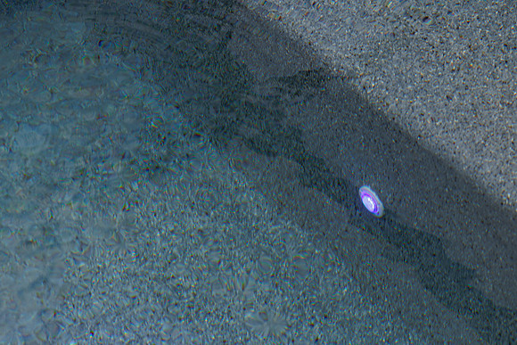 Larsen's Merz Pool Riverview Details-78