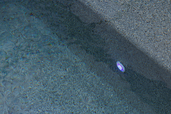 Larsen's Merz Pool Riverview Details-80