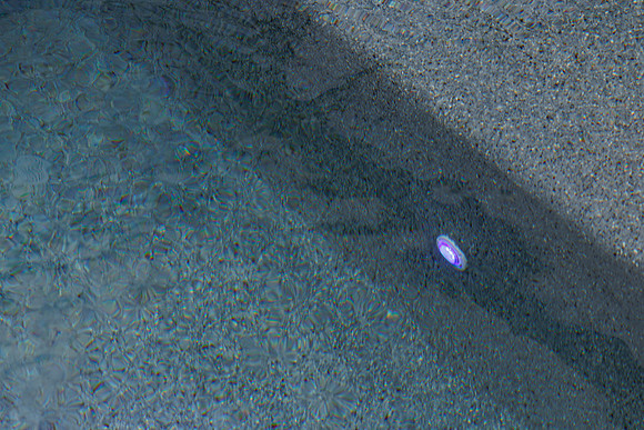 Larsen's Merz Pool Riverview Details-79