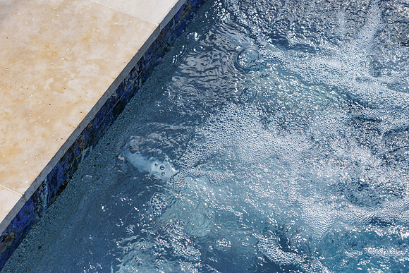 Larsen's Merz Pool Riverview Details-49