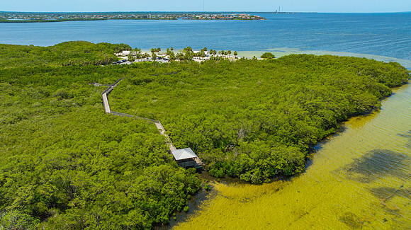 Janina NPR Portraits Aerial & Ground May 2025-42
