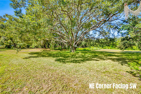 NE Corner Facing SW Lot 1 (2)
