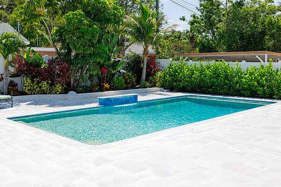 Larsen's Pool 319 Bailey St Safety Harbor-40