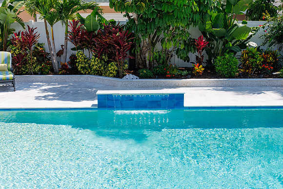 Larsen's Pool 319 Bailey St Safety Harbor-25