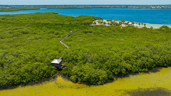 Janina NPR Portraits Aerial & Ground May 2025-43
