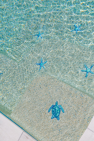 Larsen's Pool 319 Bailey St Safety Harbor-29