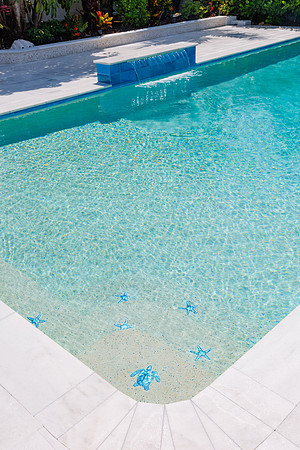 Larsen's Pool 319 Bailey St Safety Harbor-39