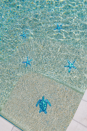 Larsen's Pool 319 Bailey St Safety Harbor-30
