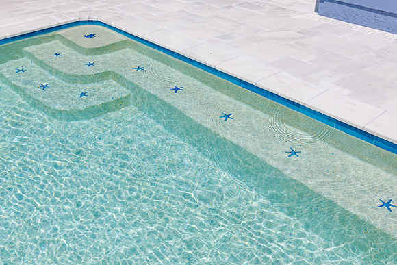 Larsen's Pool 319 Bailey St Safety Harbor-32