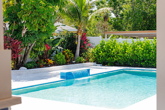 Larsen's Pool 319 Bailey St Safety Harbor-45