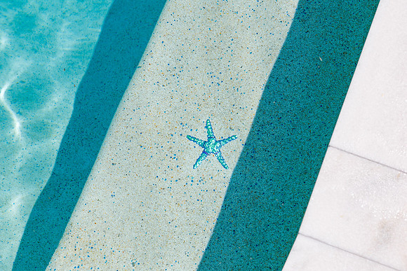 Larsen's Pool 319 Bailey St Safety Harbor-26