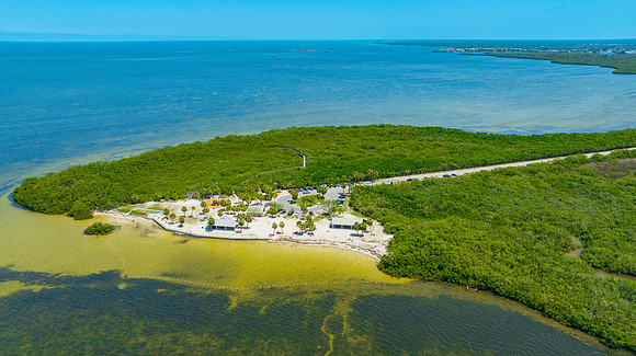Janina NPR Portraits Aerial & Ground May 2025-35