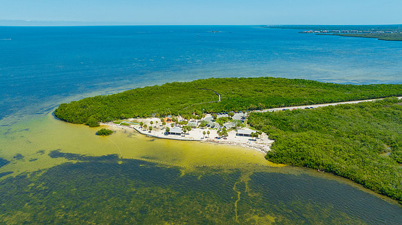 Janina NPR Portraits Aerial & Ground May 2025-34