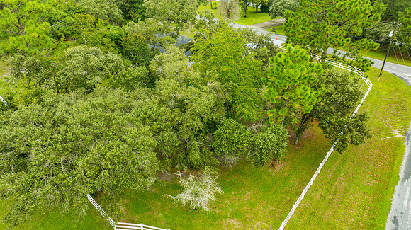 Mary Hayward 4135 Jacaranda Cir-5