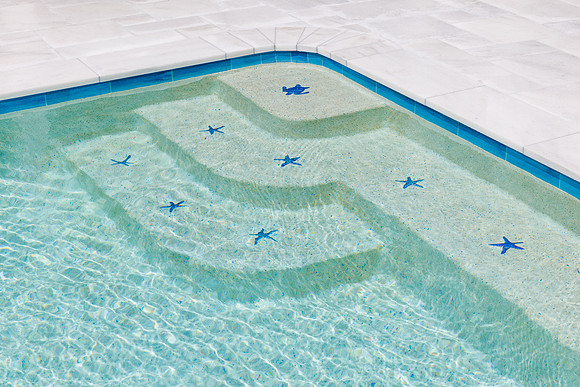Larsen's Pool 319 Bailey St Safety Harbor-33