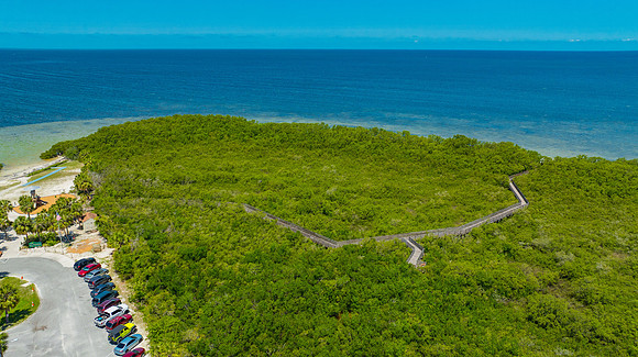 Janina NPR Portraits Aerial & Ground May 2025-31
