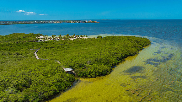 Janina NPR Portraits Aerial & Ground May 2025-41