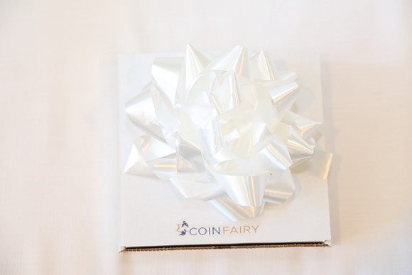 Laura Coin Fairy June 19th-39