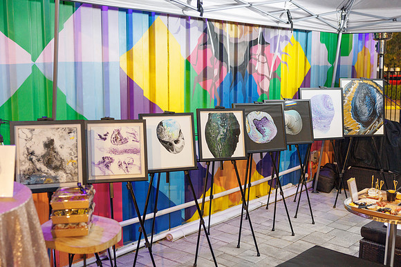 Liz Imagine Healing Art Launch 2025-17