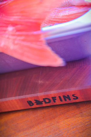 Badfins July-57
